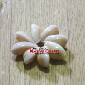 Cowry Shell Flowers