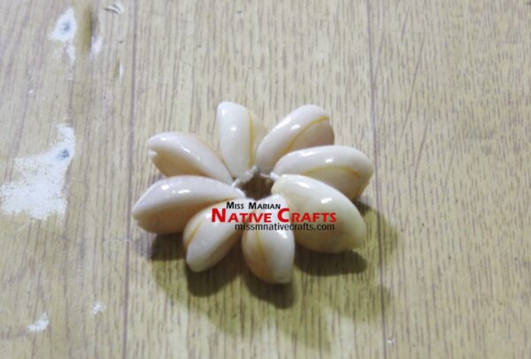 Cowry Shell Flowers