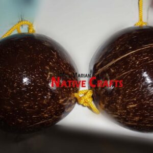 Coconut Shell Bra