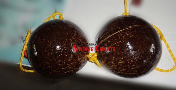 Coconut Shell Bra